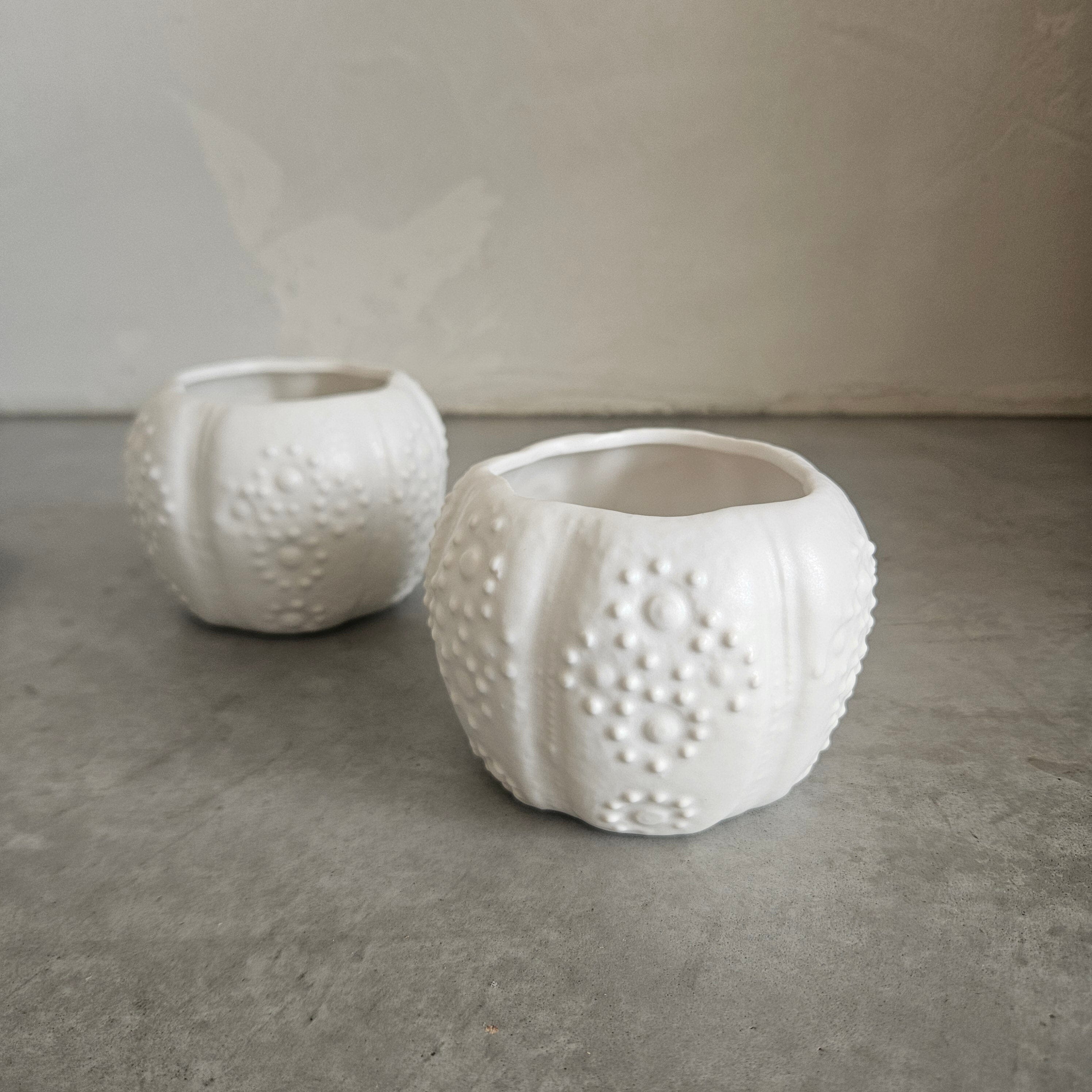 Sea Urchin Ceramic Plate in White - 14cm