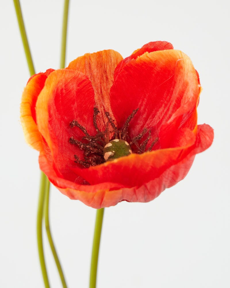 Poppy Artificial Spray in Orange - 75cm