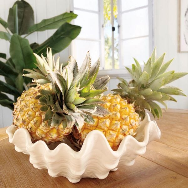 Luna Clam Shell Decorative Bowl - Large (Save 11%)