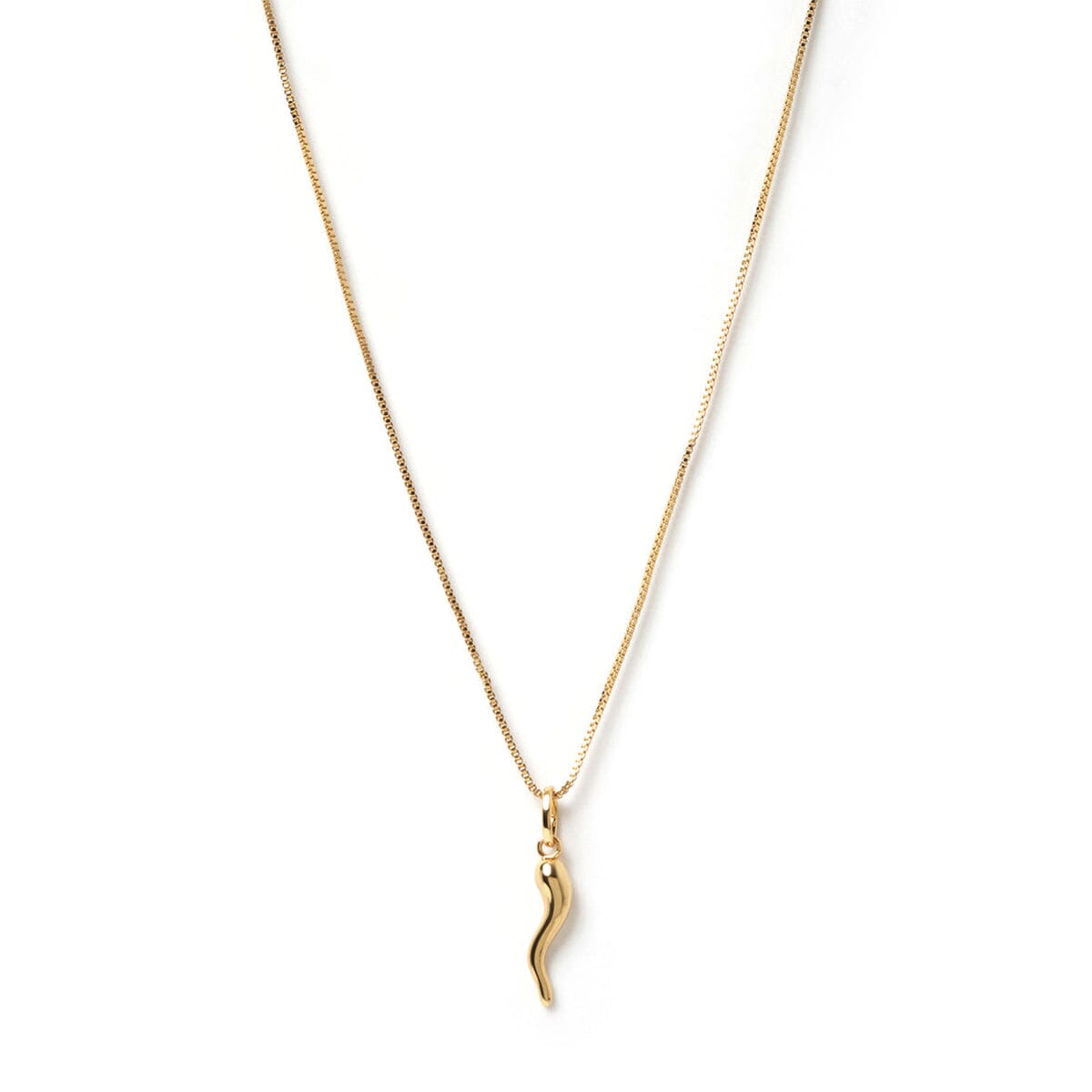 Arms of Eve - Cornicello Gold Charm Necklace - Large