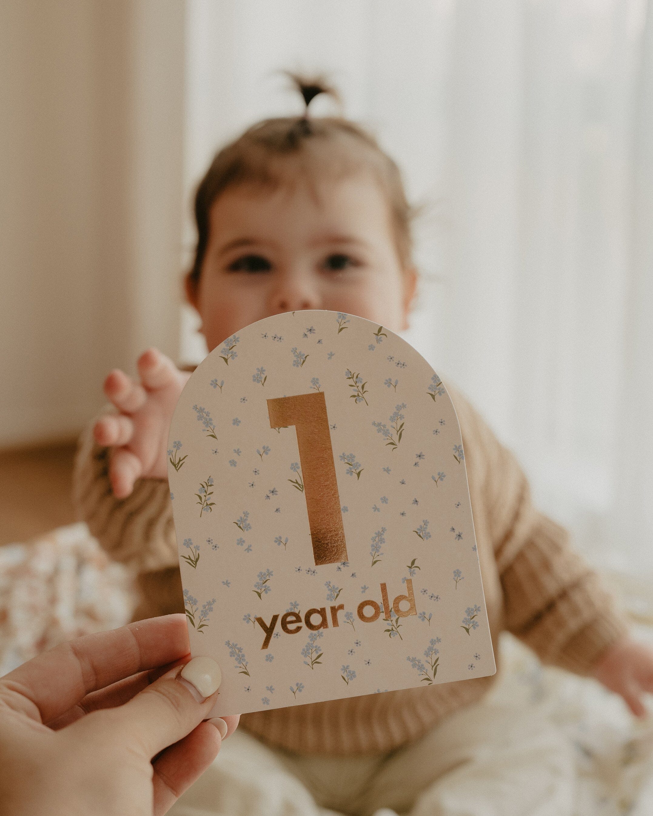 Fox & Fallow - Baby Milestone Cards in Broderie