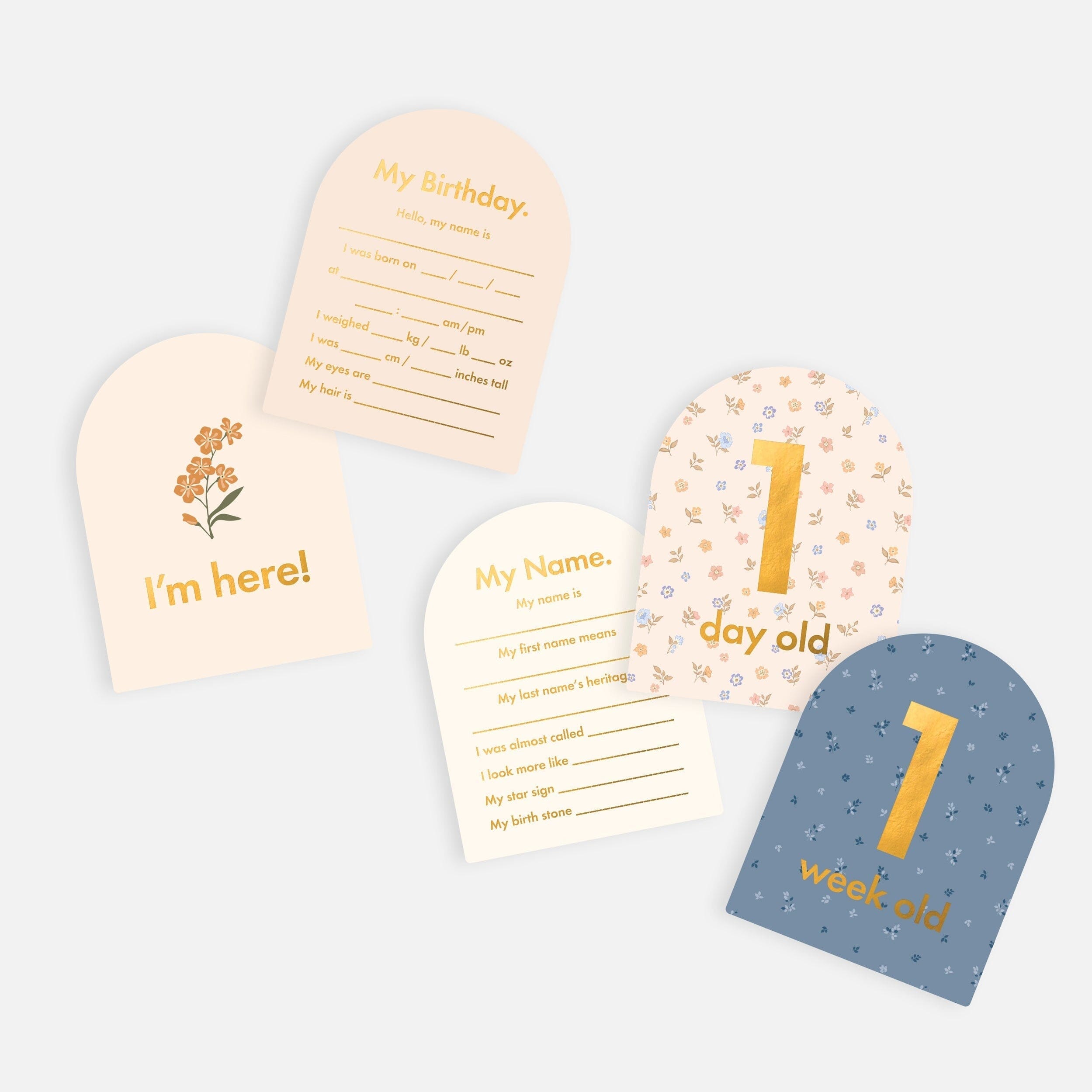 Fox & Fallow - Baby Milestone Cards in Broderie