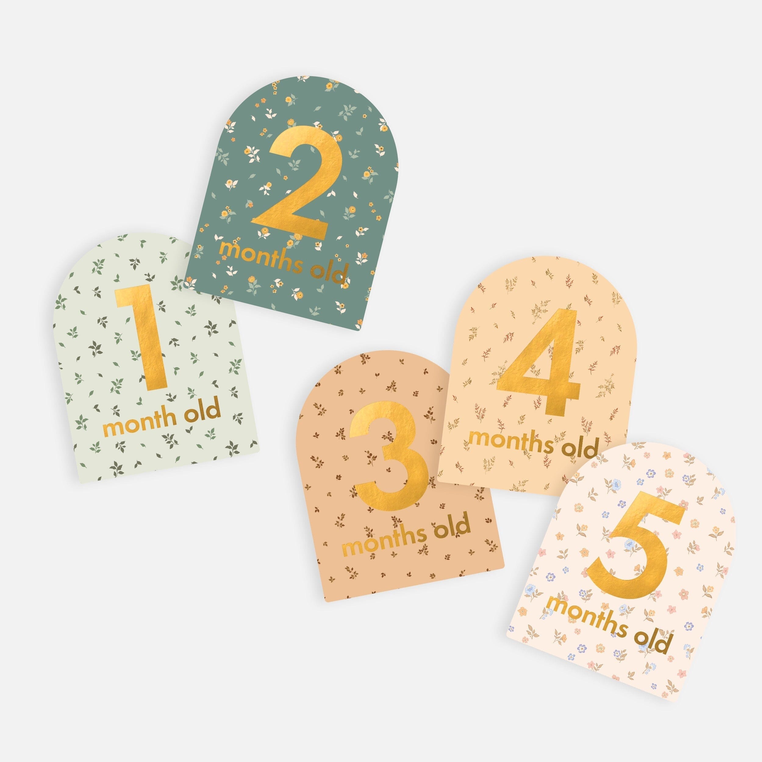 Fox & Fallow - Baby Milestone Cards in Broderie