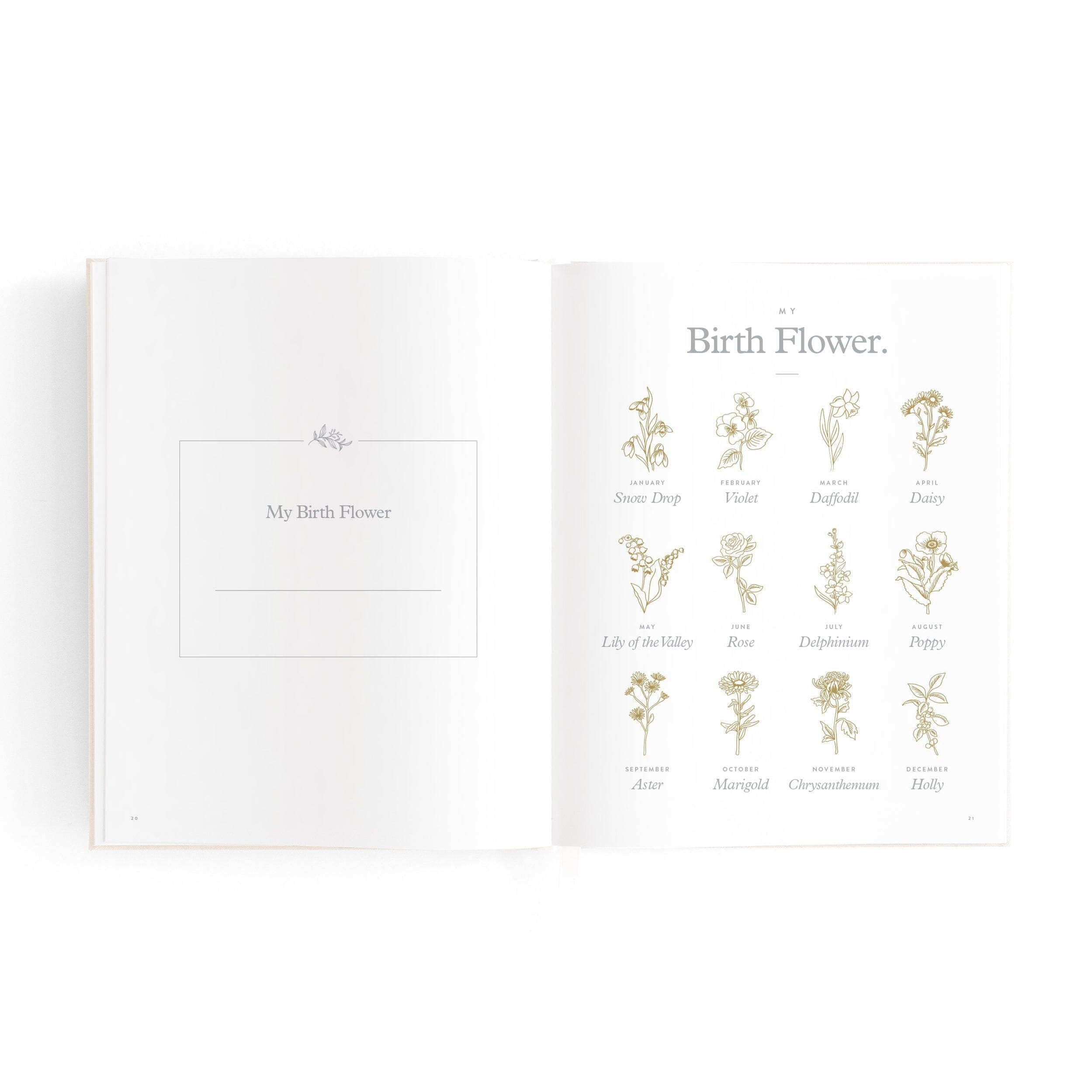 Fox & Fallow - Mini Baby Book in Oatmeal