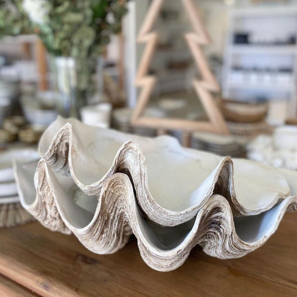 Clam Shell Resin Decorative Bowl in Antique White - Medium