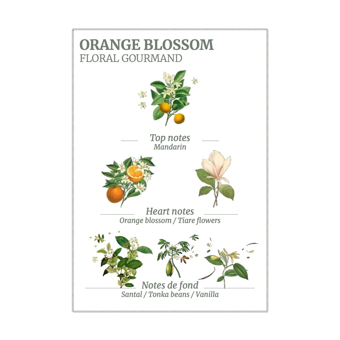 Panier des Sens Orange Blossom Scented Candle