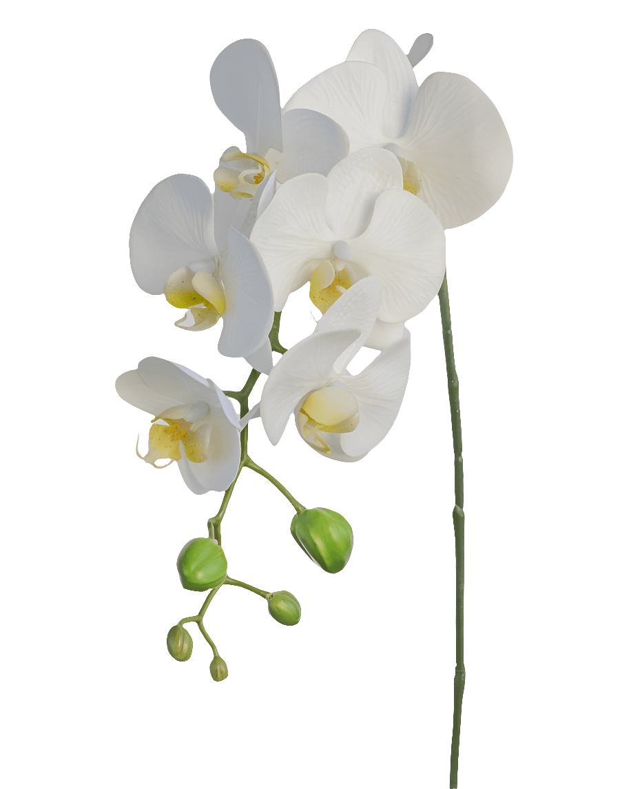 Phalaenopsis Artificial Spray in White 70cm