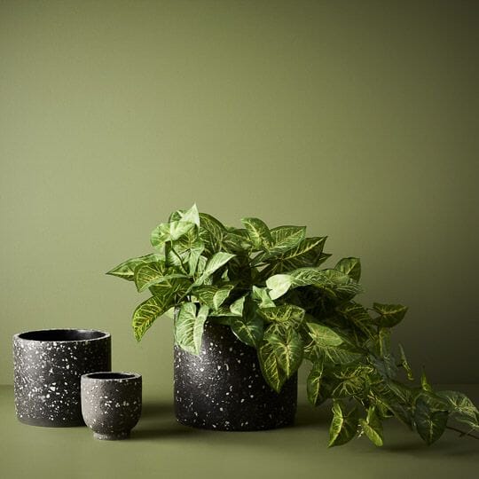 Olivia Black Terrazzo Pot (Save 22%)