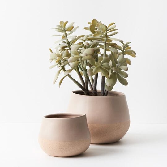 Aura Plant Pot in Almond