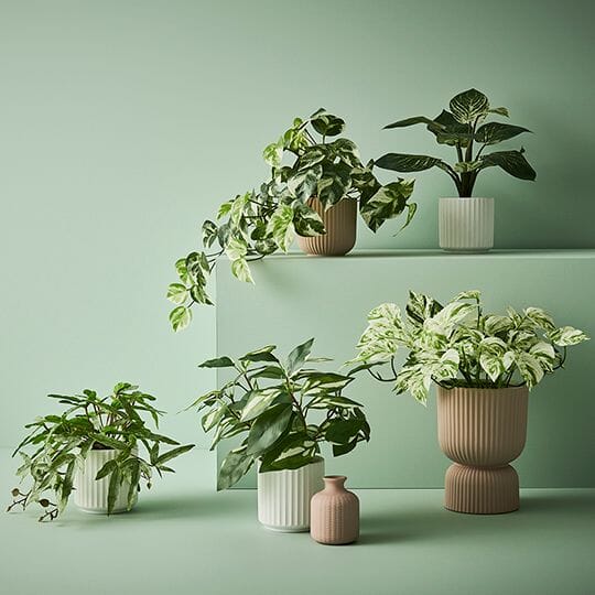 Gia Ribbed Planter in Soft Pink 10.5cm