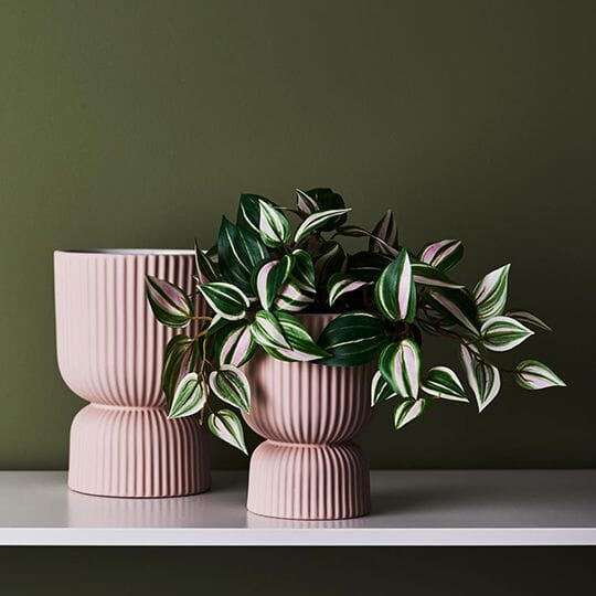 Gia Ribbed Pedestal Pot in Soft Pink 16cm (Save 17%)