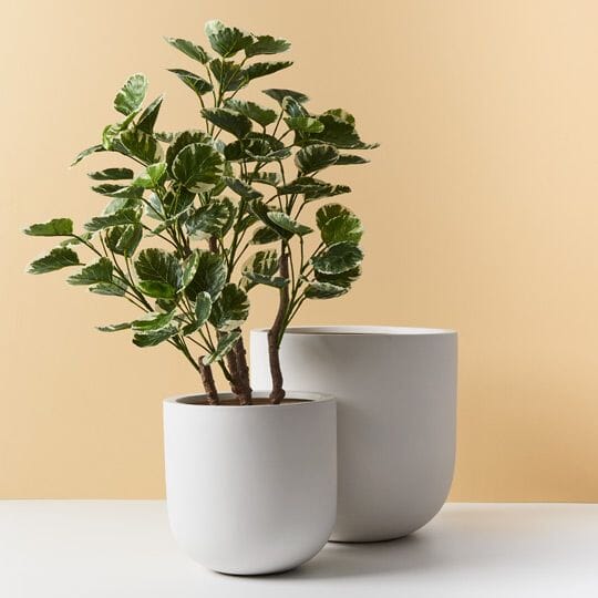 Delphine Egg Pot in Matte White 40cm
