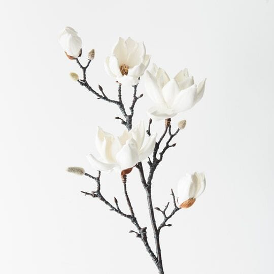 Magnolia Artificial Japanese Spray in White 100cm