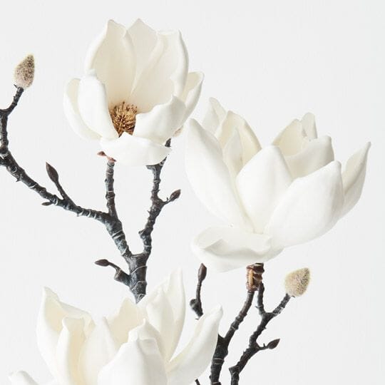 Magnolia Artificial Japanese Spray in White 100cm
