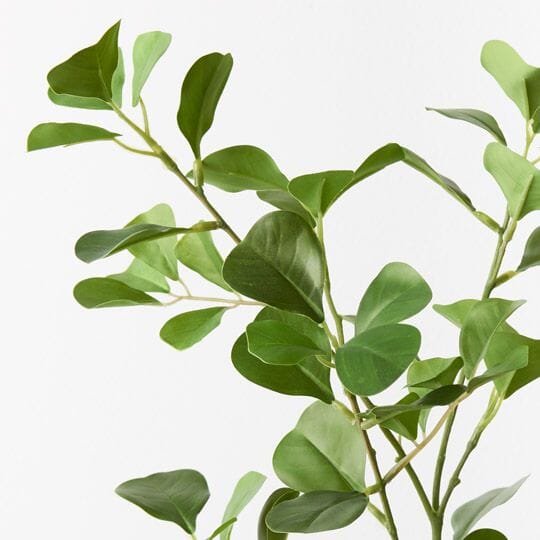 Ficus Triangle Artificial Spray in Green 78cm