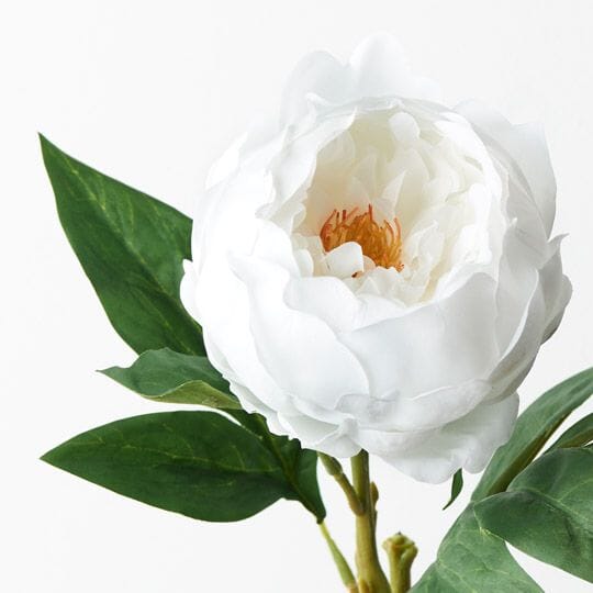 Peony Faux in Winter White 58cm