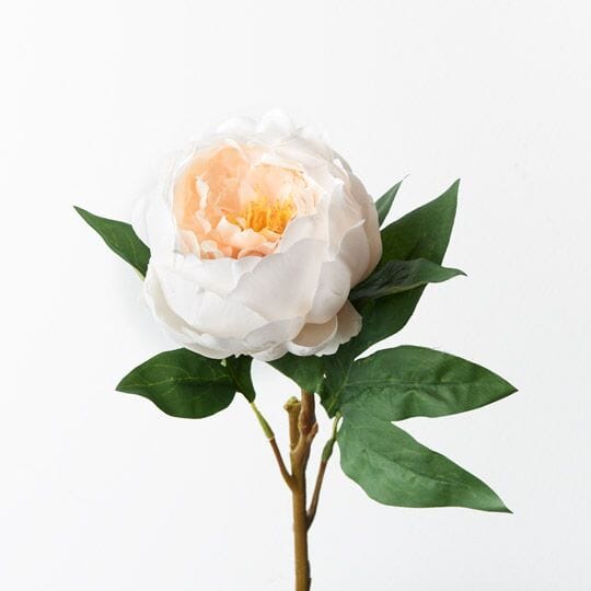 Peony Artificial Stem in Ivory 58cm