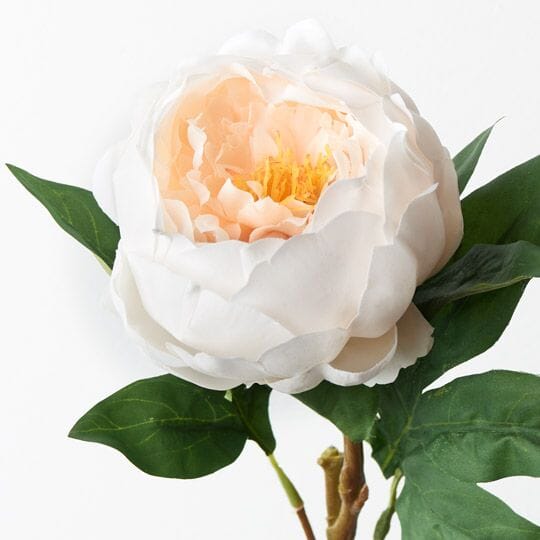 Peony Artificial Stem in Ivory 58cm
