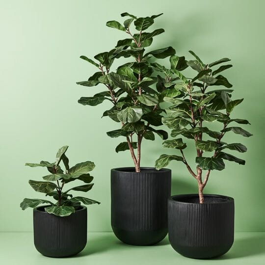 Jamila Ribbed Pot in Matte Black 64cm