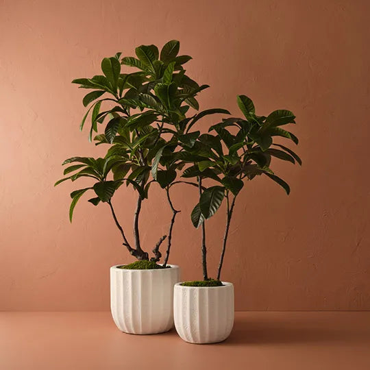 Elios Stoneware Pot in White 32cm