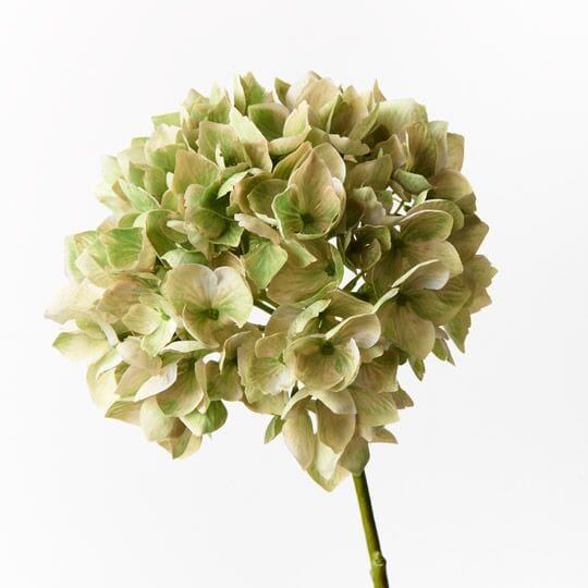 Hydrangea Faux Green 47cm