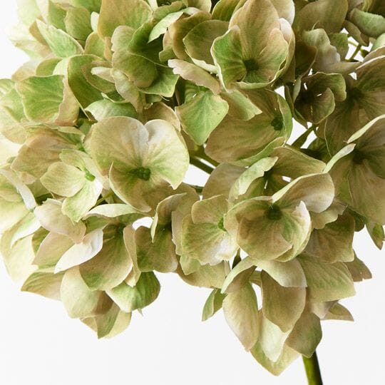 Hydrangea Faux Green 47cm