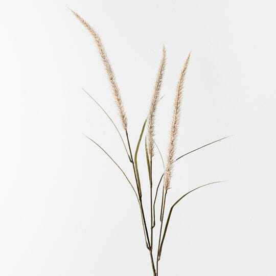 Fountain Grass Spray in Cream 130cm