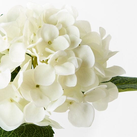 Hydrangea Real Touch in White 63cm
