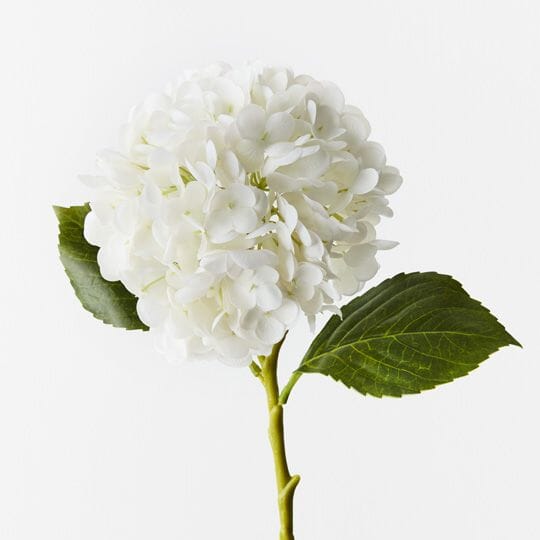 Hydrangea Real Touch in White 49cm