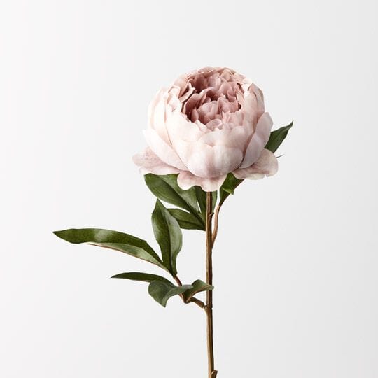 Peony Artificial Stem in Dusty Pink 64cm