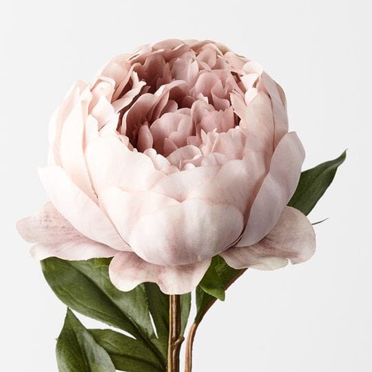 Peony Artificial Stem in Dusty Pink 64cm