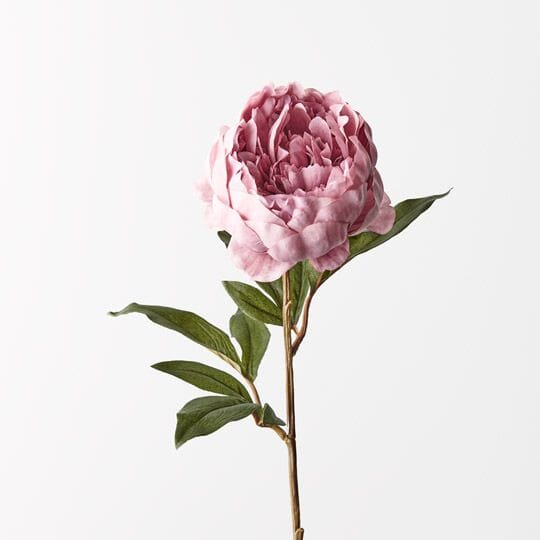 Peony Stem in Pink 64cm