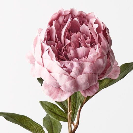 Peony Stem in Pink 64cm