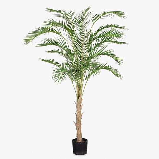 Palm Phoenix Artificial Tree 210cm