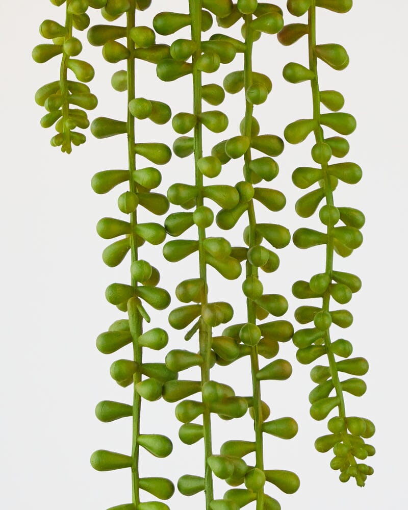 String of Faux Pearls