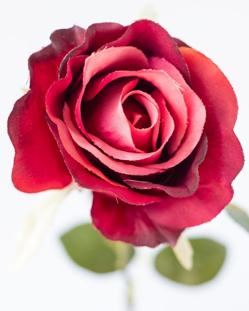 Rosebud Artificial Spray in Red Burgundy - 50cm