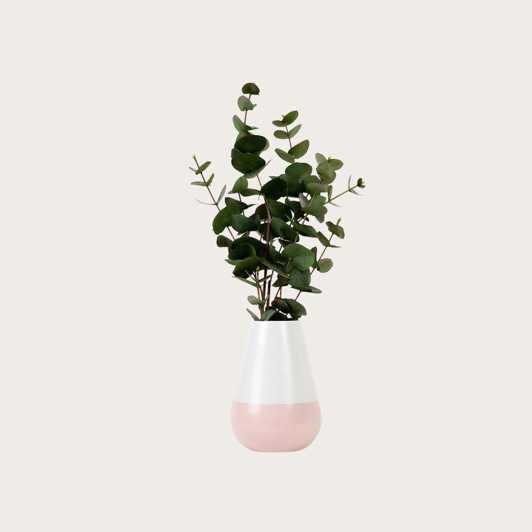 Boccioni Ceramic Vase in Pink/White - Buy 1 Get 1 Free