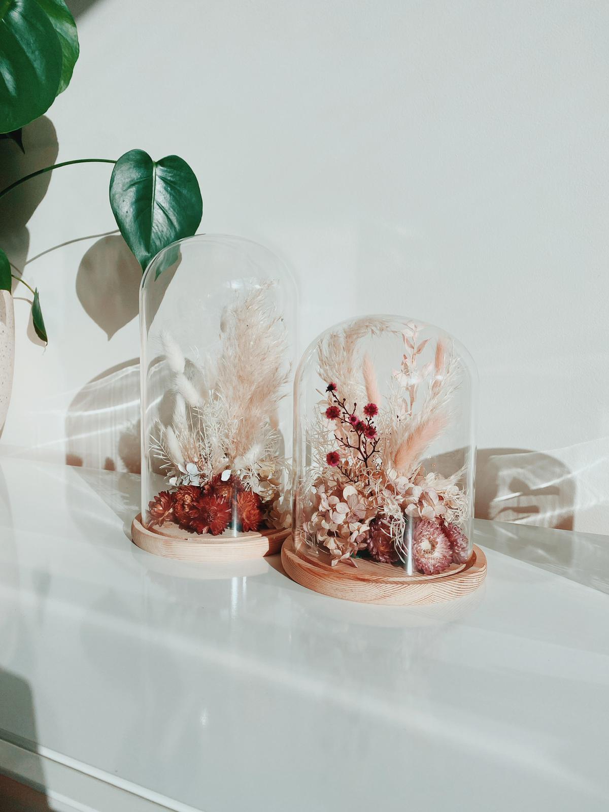 Dominic Small Glass Dome with Wood Base