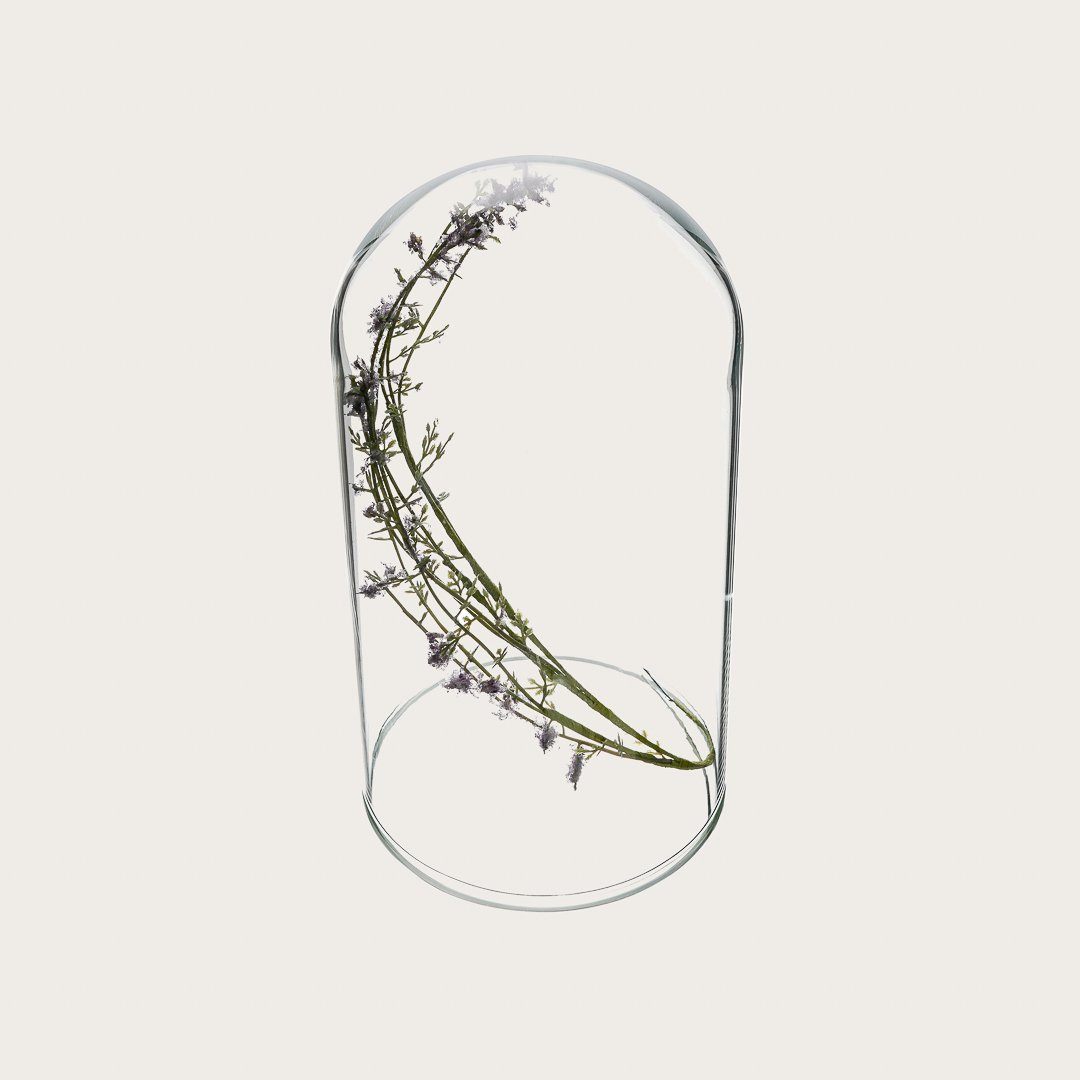 Freya Large Glass Decorative Display Dome
