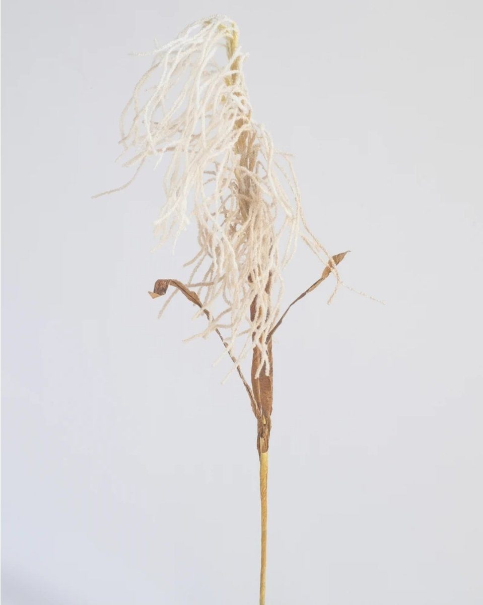 Hanging Reed Spray in Cream 90cm (Save 40%)