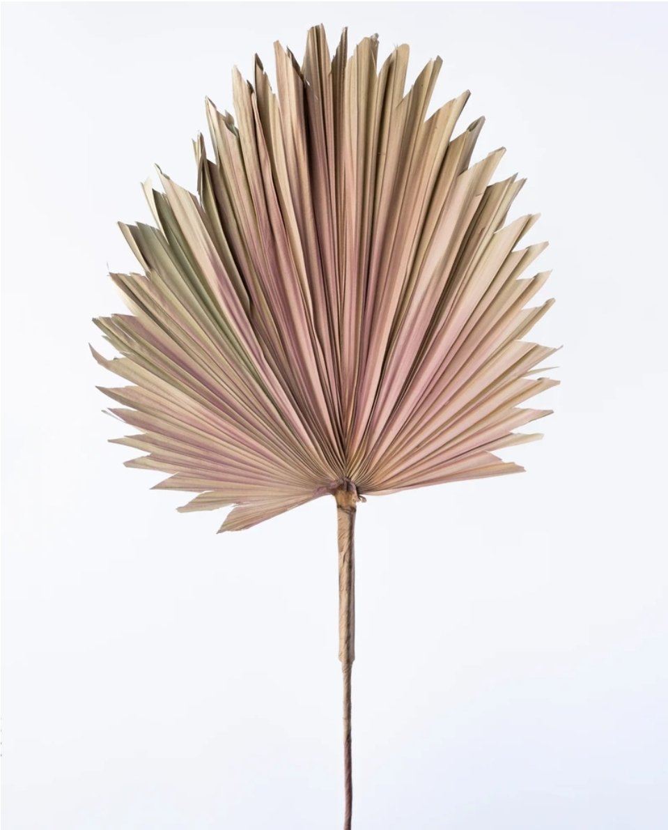 Artificial Palm Fan in Dusty Pink - 120cm