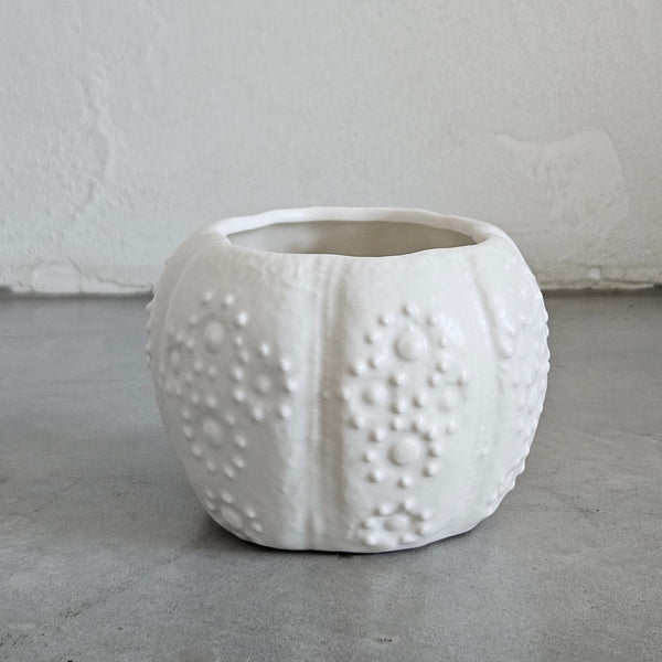 Sea Urchin Ceramic Vase or Bowl 8cm