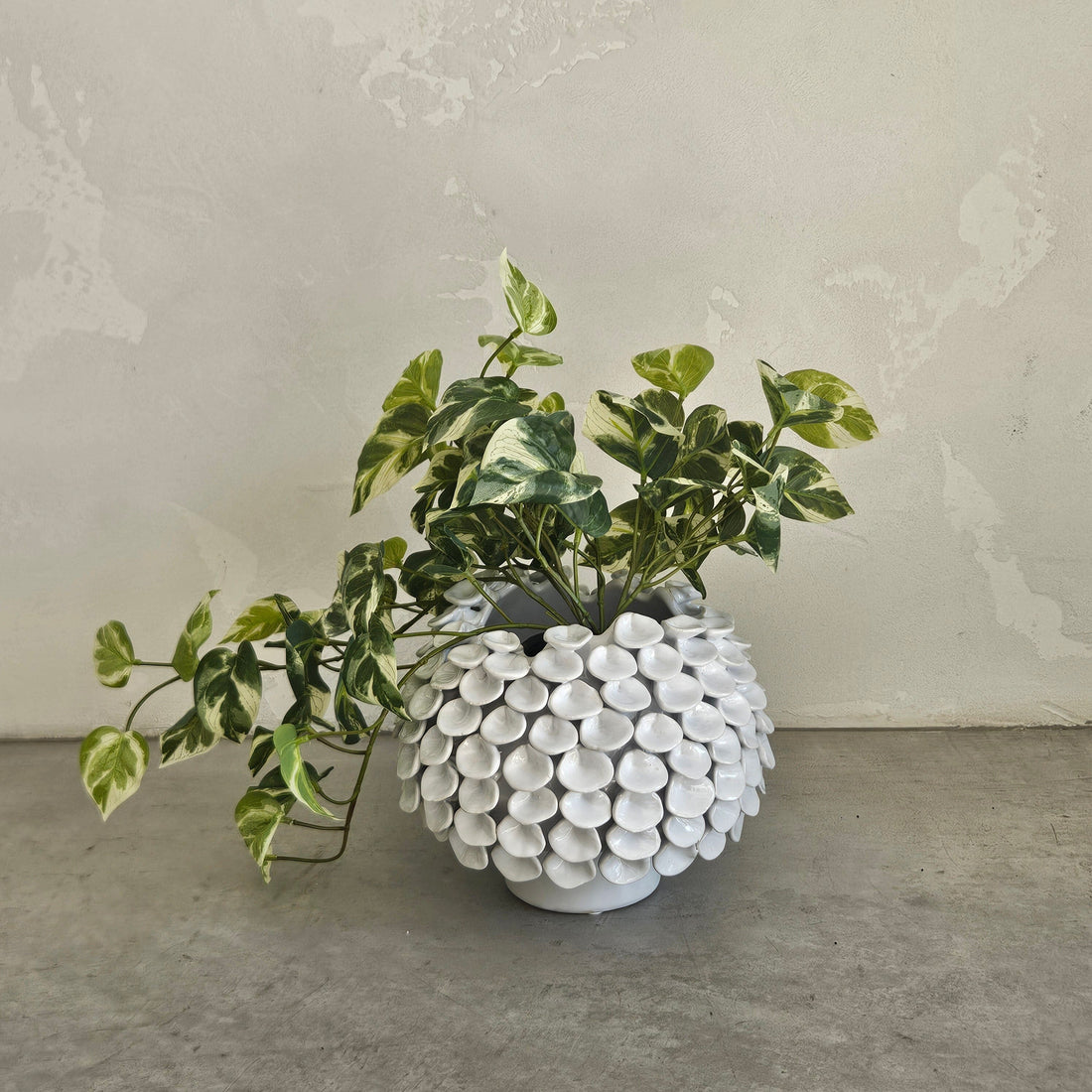 Catalina Oyster Shell Ceramic Footed Pot in White