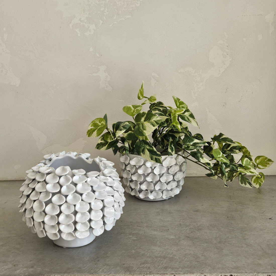 Catalina Oyster Shell Ceramic Footed Pot in White