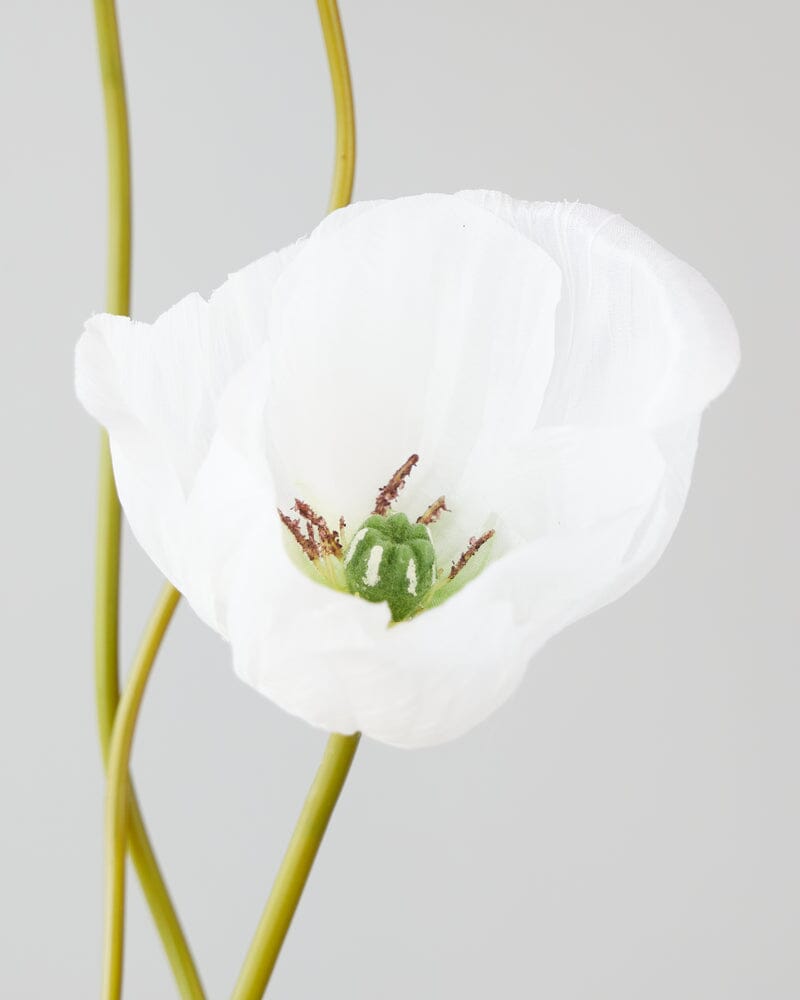 Poppy Artificial Spray in White - 75cm