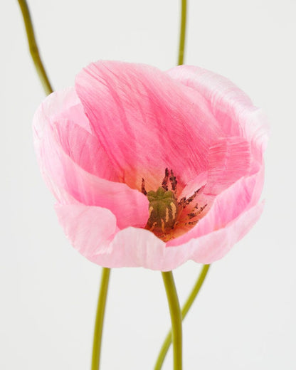 Poppy Artificial Spray in Light Pink - 75cm