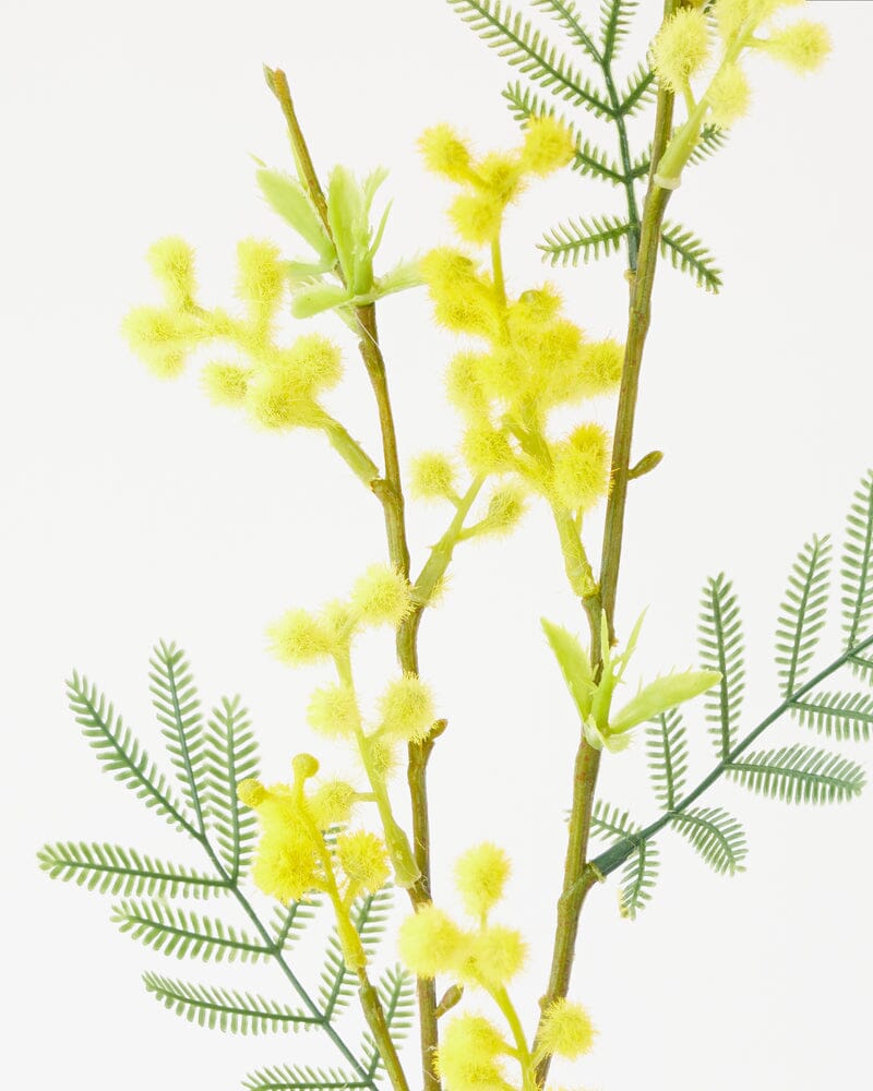 Wattle Artificial Spray in Yellow - 64cm