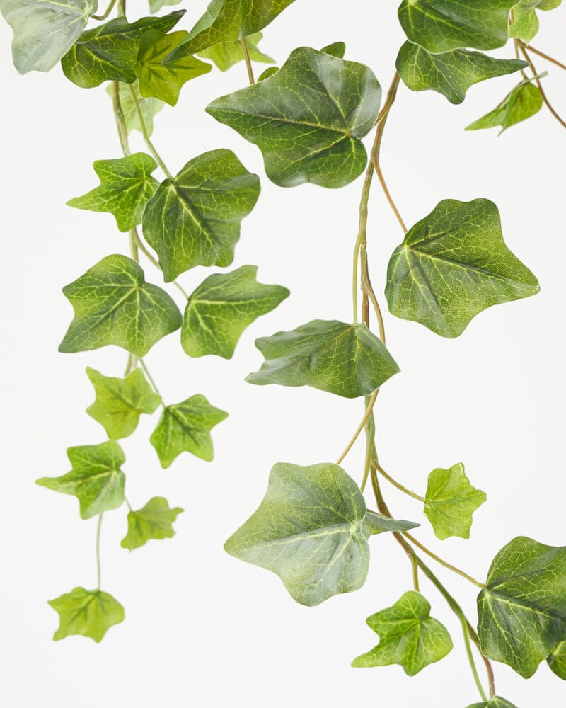 Ivy Hanging Bush in Green 100cm