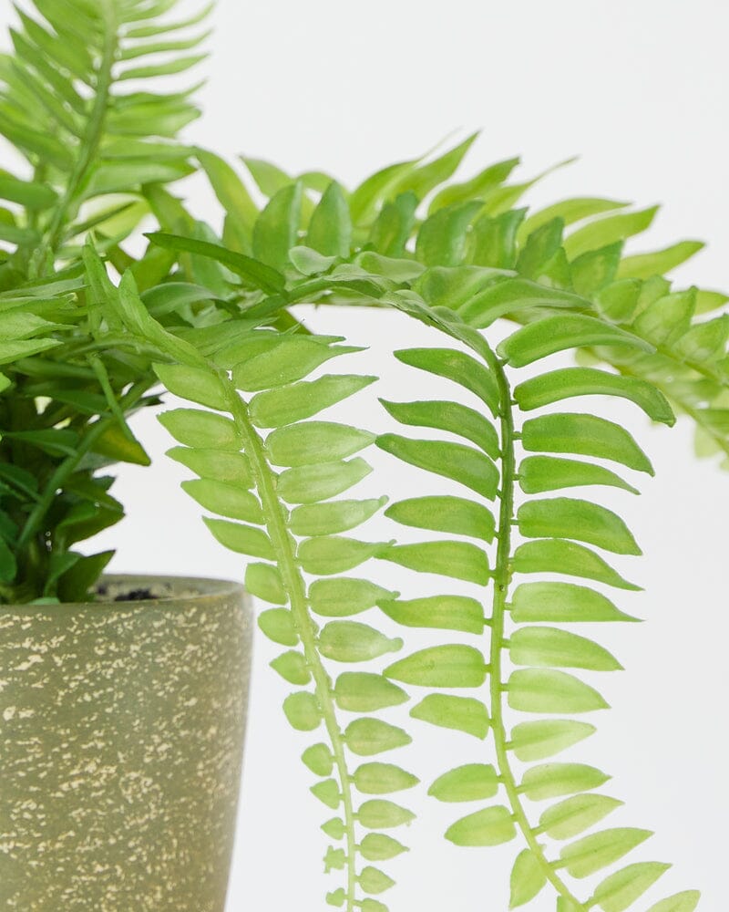 Fern Bush Faux Plant in Cement Pot 37cm