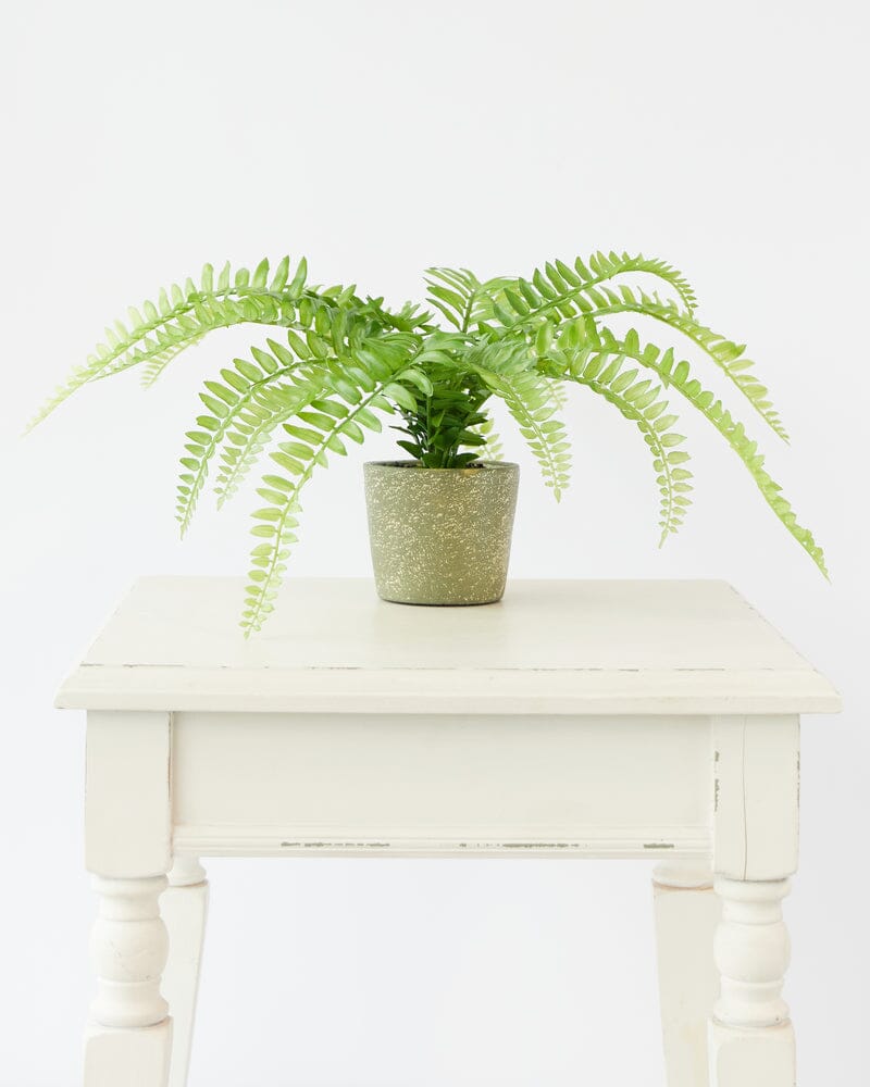 Fern Bush Faux Plant in Cement Pot 37cm
